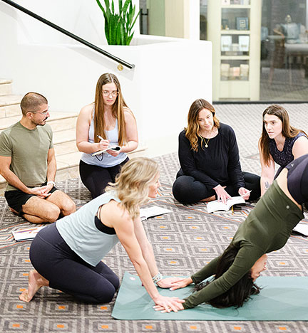 flourish-beginners-yoga Beginner's Yoga Course